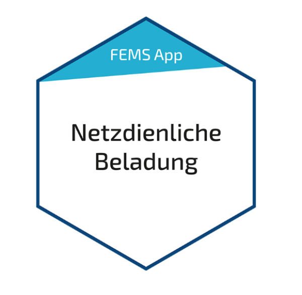 FEMS App Netzdienliche Beladung